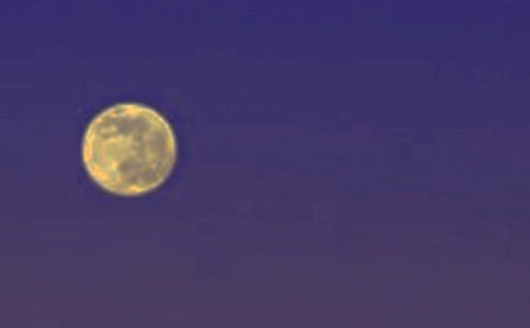 �����Aҹ����