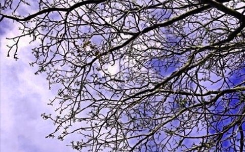 【實用】早安心語語錄大匯總60句