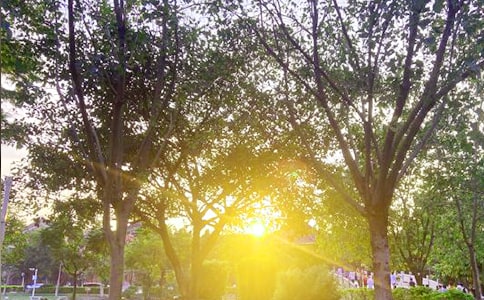 �����A���簲�������΢��32��