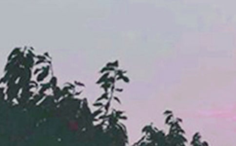 【實(shí)用】2023年早安共勉句子語錄大匯總61句