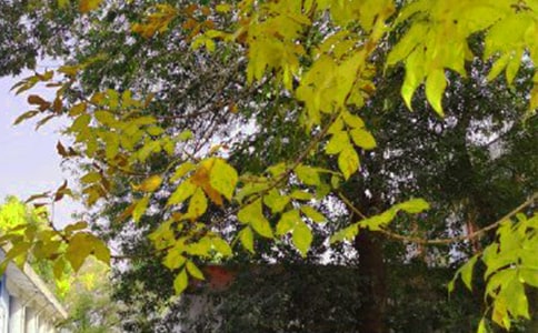 ��(j��ng)�䃞(y��u)�����簲���Z�Z�24�l