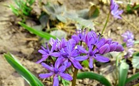 簡單暖心早安語錄(通用115句)