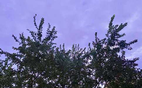 ��(j��ng)�����\��ů���簲���Z�Z�ժ�52��