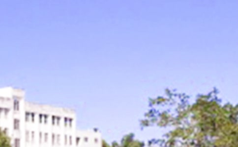 早安的高情商句子