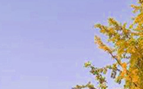 2025年實用的唯美的早安心語語錄摘錄42句