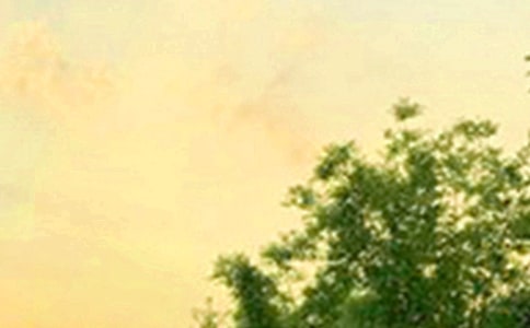 關(guān)于朋友圈早安語錄匯總120句精選