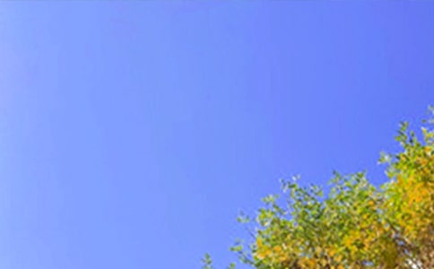 【推薦】動人的早安心語語錄集合30條