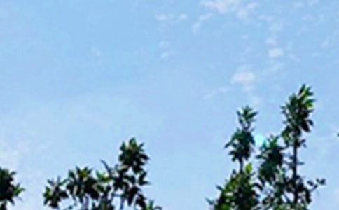 2024年簡潔的溫馨的早安問候語語錄匯編52句