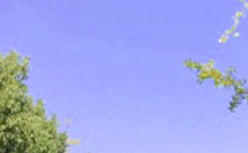 常用美好的早安心語語錄53條