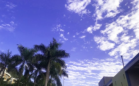 簡短的早安共勉句子44條