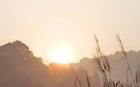 【精華】溫暖的早安心語語錄錦集61條