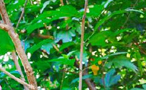 2023�꺆(ji��n)�̵��簲���Z(y��)�Z(y��)�25�l