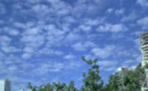 【精華】2025年治愈系早安心語語錄大集合64條