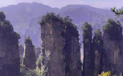 �����ď��ҽ�����15ƪ