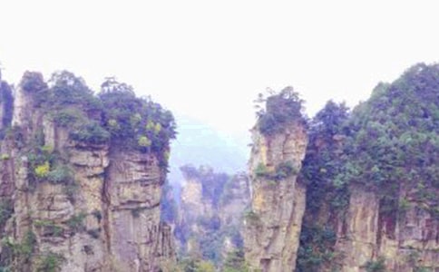 難忘的張家界之旅作文