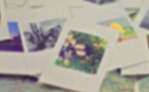 ��Ƭ��Ĺ��³�һ����(11ƪ)