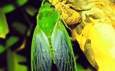 ���]��׽֪������