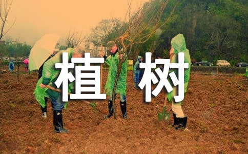 ֲ������