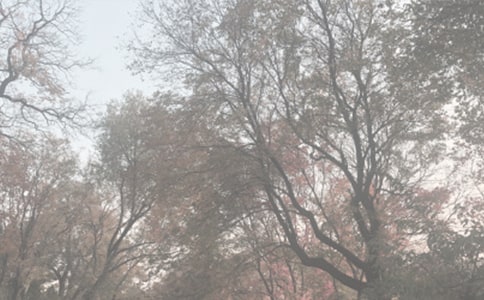 �����]��ֲ��@��ӛ3ƪ