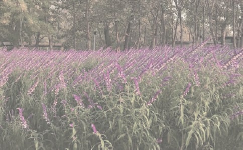 植物園游玩日記