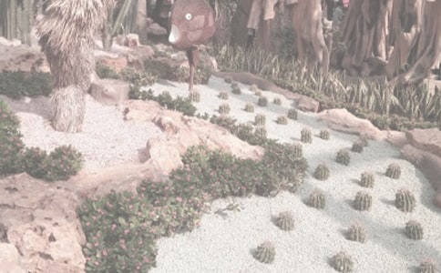 【實用】植物園日記四篇