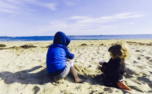 我的熊侄子作文