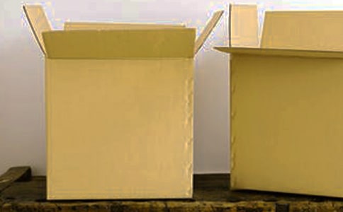 大學(xué)生紙箱廠實(shí)踐報(bào)告