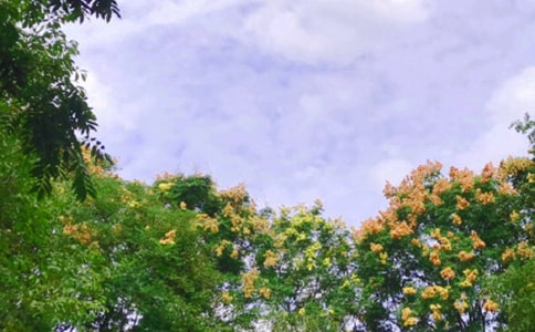 �茑(xi��)�������