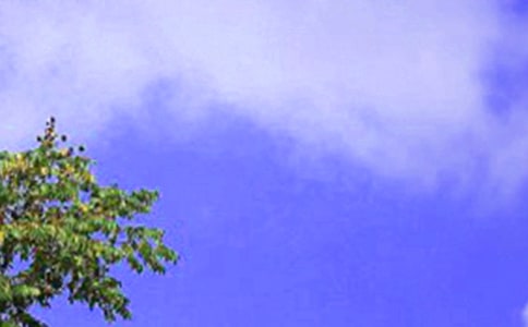 �ЌW(xu��)��������У���Z��