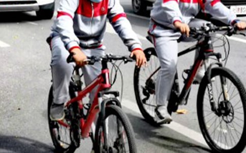 中學(xué)生自查報(bào)告(匯總3篇)