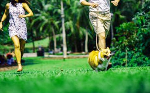 ��ĩ���ľ��ӣ����ã�