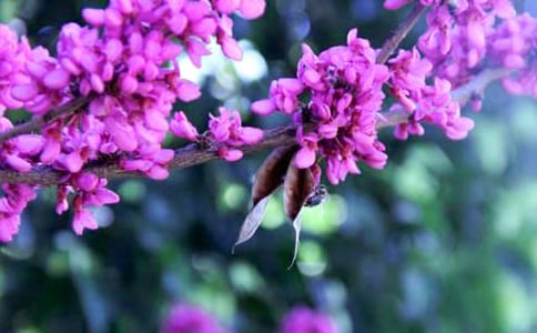 ���G������