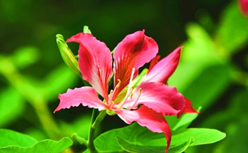 �а���(y��u)�����g(sh��)�̰�����ʢ�_�����G����