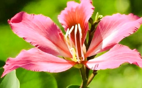 ����һ�����G���_�r����800��