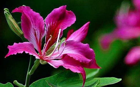 ���G��������8ƪ