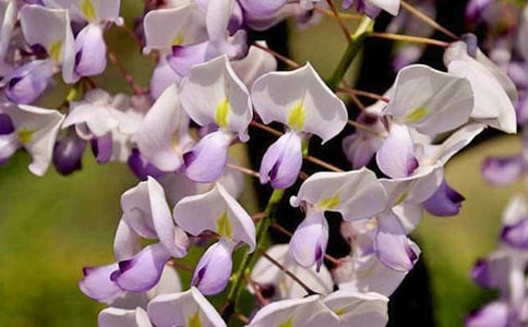 С�����g(sh��)��ָ�����ٻ��̰�15ƪ