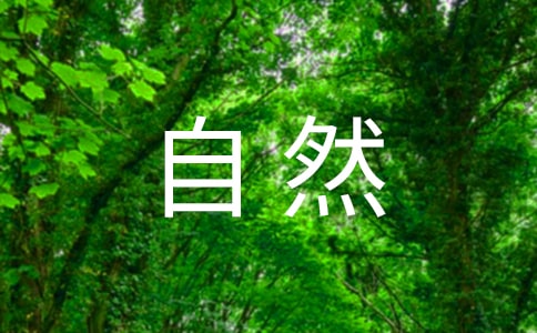 自然教案-磁鐵