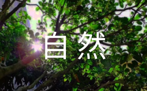 自然教案-1動物和環(huán)境