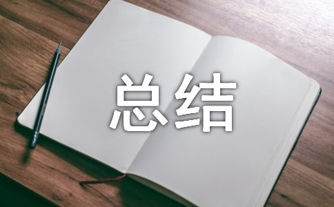 技術(shù)總監(jiān)工作年終個(gè)人總結(jié)