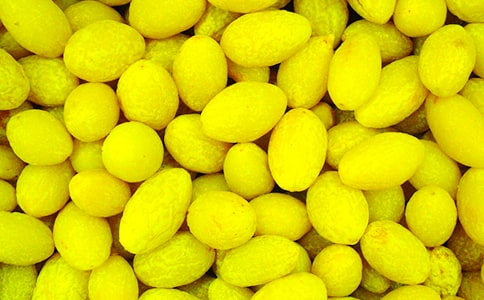 ��ζ���ϙ�����