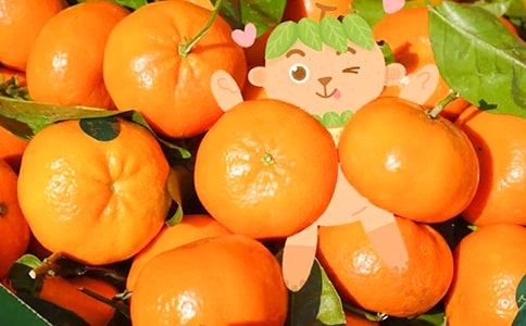 �����ӱ�ِ����