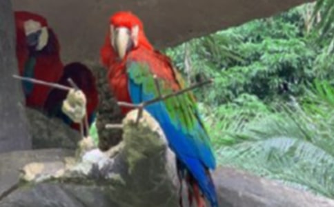 �Ҽҵ��W�^������