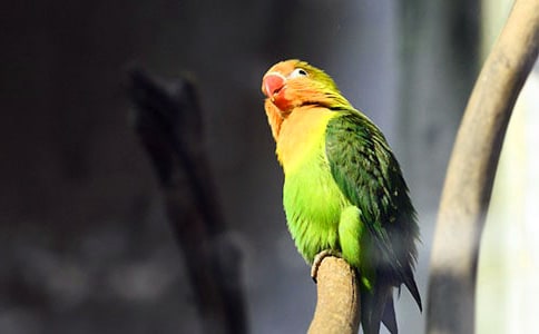 �W�^��(y��u)������[��Ʒ]