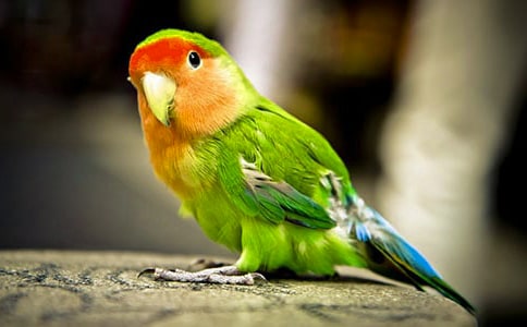 �ɐ۵�ĵ���W�^��(y��u)������