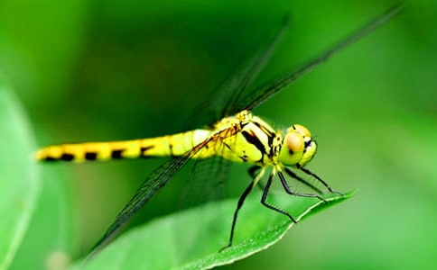 ���у�(y��u)�������\����15ƪ��