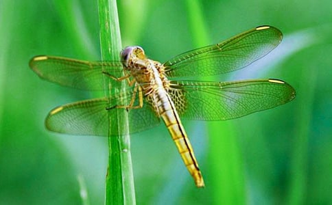 �а����g(sh��)�̰���С���ѡ�