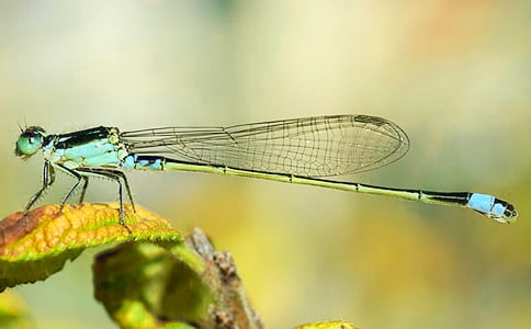 �����w���ѡ��ڶ��n�r(sh��) ֮һ