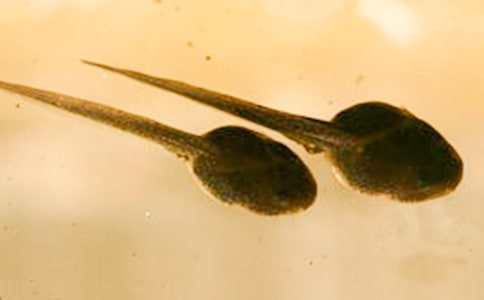 С�����g(sh��)С���̰�