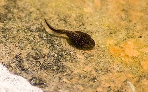 ���g(sh��)С����ҋ����̰��ϼ�15ƪ