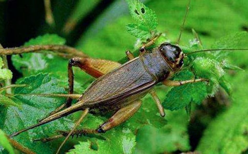 ���סլ�̌W�OӋ��ͨ��14ƪ��